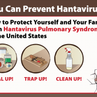 You Can Prevent Hantavirus