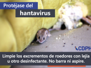 Protéjase del hantavirus