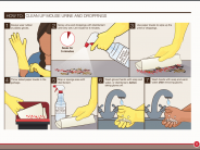 How To: Clean Up Mouse and Urine Droppings