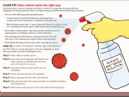Clean Rodent Waste the Right Way