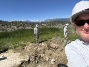 Meadow Restoration