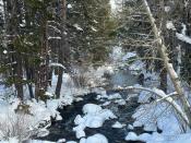 Paha Lower Twin Winter Trail
