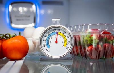 Food Safety