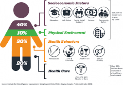 The factors that contribute to individual health are called the social determinants of health. 