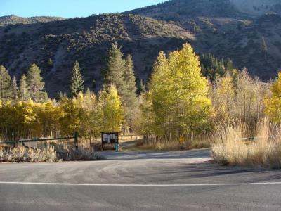 Lundy Canyon Campground with aspens in fall colors